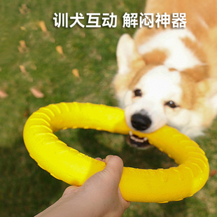 ��������Ӗ���ˌ����������h���������w����ȫܛ�z�Ϳ�ҧ�������