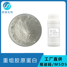 重组人源胶原蛋白 98% 胶原蛋白 三型重组胶原蛋白 包邮