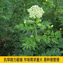 ��ș�Į��w�N�ӚW���w�N�Ѯ��w�Nֲ���S���h����轷N���̨