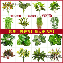 ֲ��GֲС�ͼٻ��[�O�쾰�����b������G�}��˹����