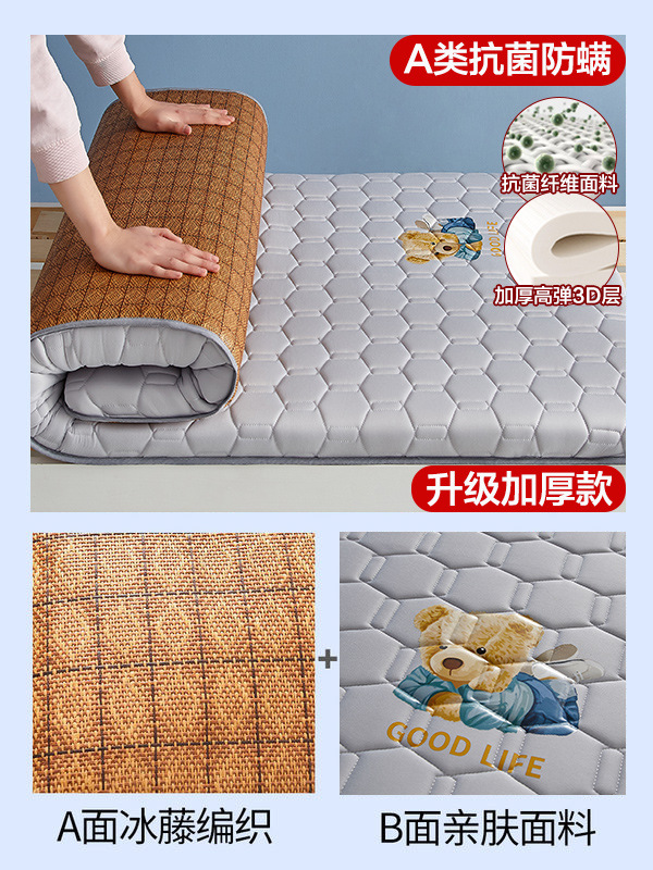 베어 그레이 = 6.5cm (A급 항균 - 3D 증점 모델) 양면 매트 및 매트리스 사용 가능