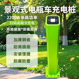 户外双路插座电瓶车充电桩扫码智能小区电动车充电站景观式立式桩
