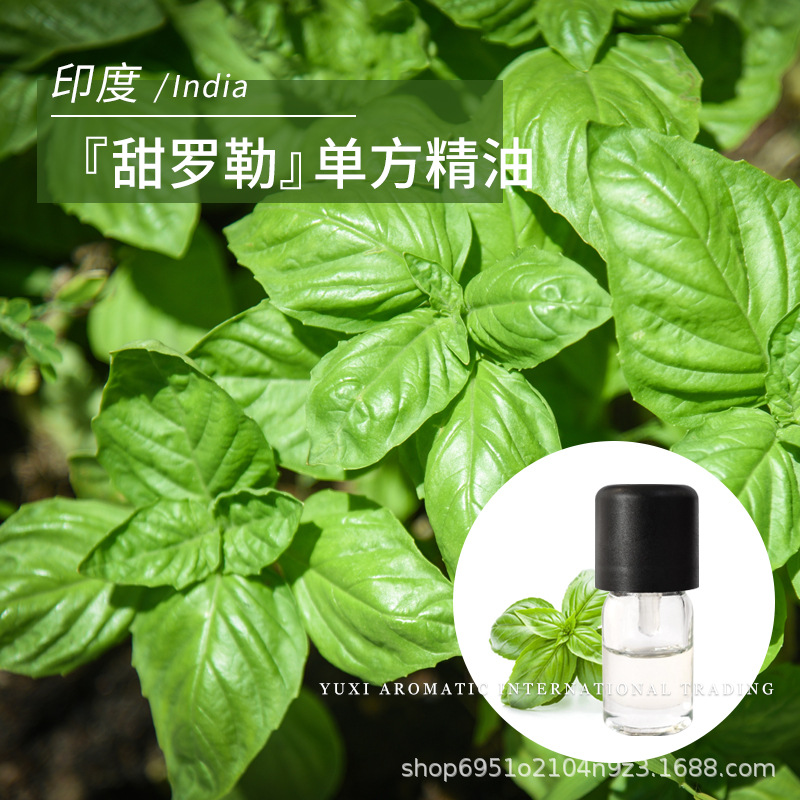 印度甜罗勒精油1ml蒸馏工艺萃取罗勒芳香单方 M.C