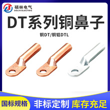 电力金具铜鼻子铜端子开口鼻子铜铝端子铝端子DTDTLDL双孔端子