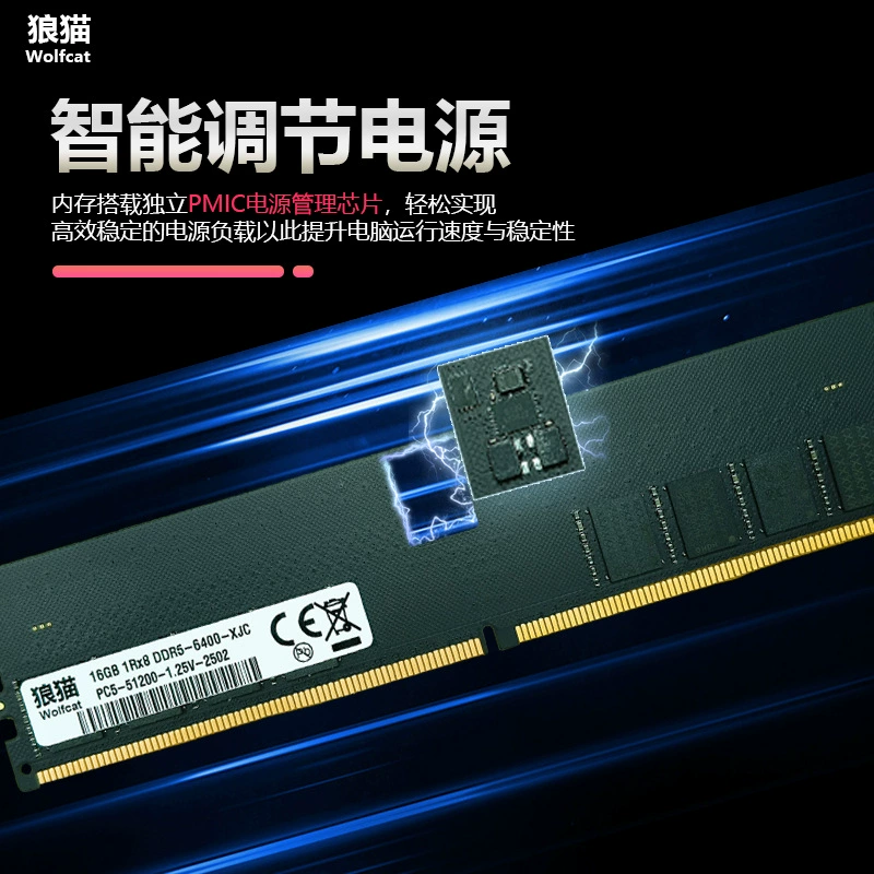 RAM (wolfcat) DDR5 8GB, 4800–5600 MHz, CL40 desktop memory modules