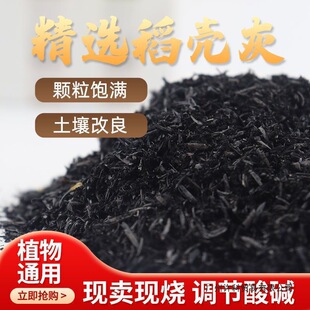 ����̿ľ�ҷ��ϻҹȚ�̼���|�Է��x�I�B���@ˇ�ô��l�羳һ�����l