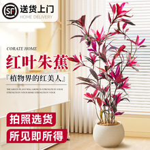 t~콶҃ȴ;Gֲ߼п͏dkլֲﻨܺB׻