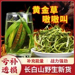长白山野生正宗肾精草补精强肾化石草东北黄金草嗷嗷叫肾经肾精茶