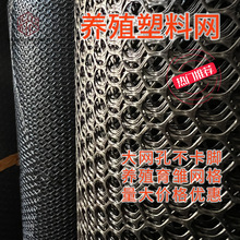 批发加厚聚乙烯塑料网养殖育雏塑料网宠物安全防护塑料围栏塑料网