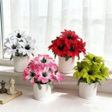����ֲ����������ԾGֲ�G�~�ٻ������҃ȿ͏d�[���b�Ʒ���滨ˇ