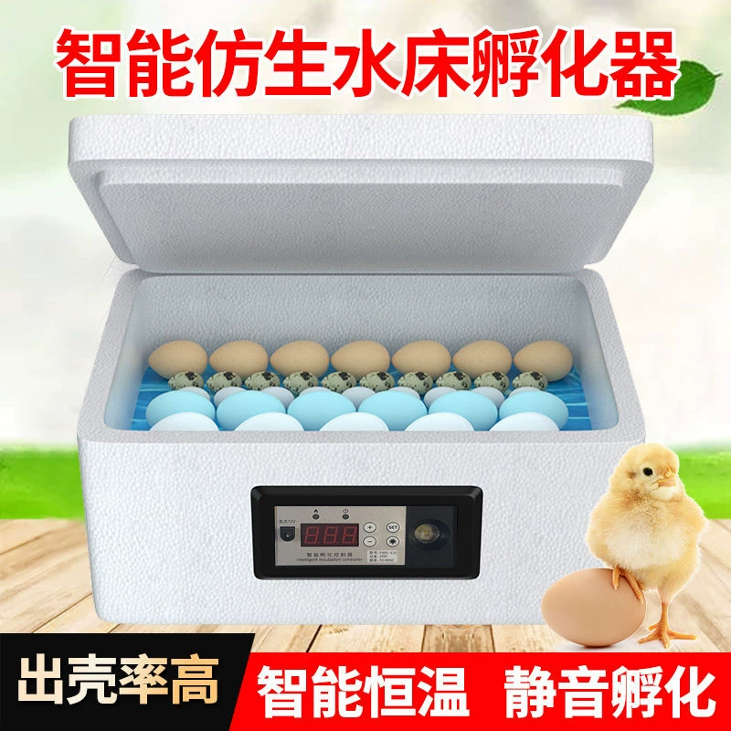 Инкубатор для домашнего использования, умный инкубатор для выведения цыплят, уток, голубей, с водяной подушкой для яиц