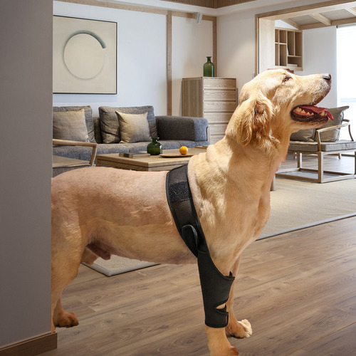 Amazon Pet Thigh Protection Sleeve Surgical Recovery Joint Support Wrap Dog Leg Guard Pet Harness Protective Cover