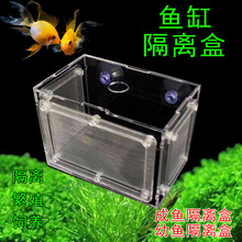 ���~���Ӱ��c���x���~��͸��ˮ��С�~���������ֳ��a����B��
