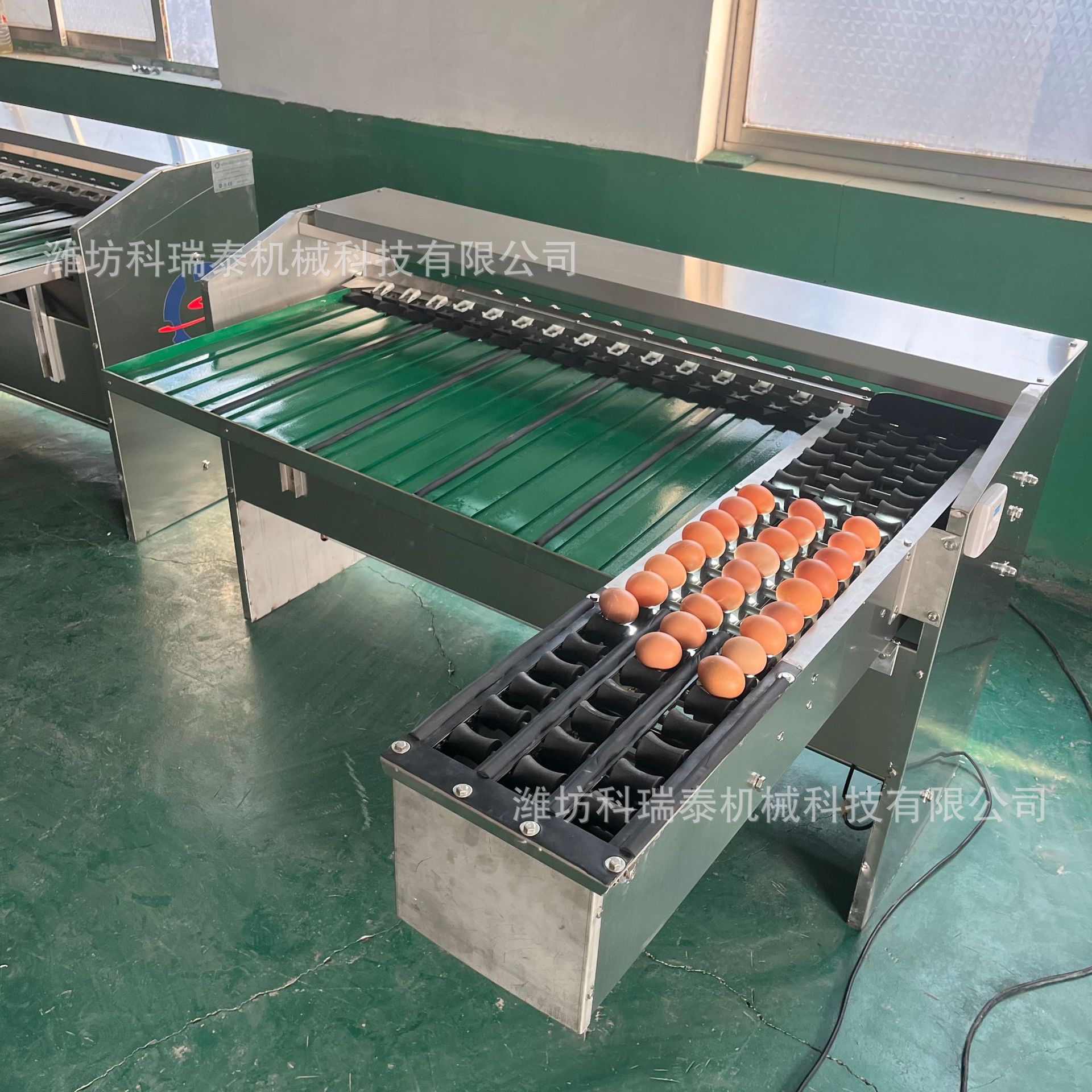 máquina de clasificación de huevo huevo pato huevo equipo de clasificación automática de tamaño