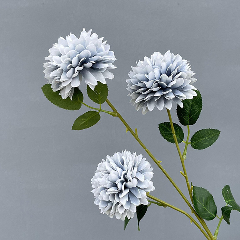 3 Head dandelion haze Blue