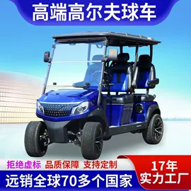电动观光车;高尔夫球车;其他电动车