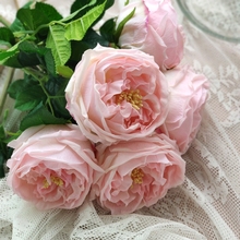 仿真花 花园玫瑰 手感玫瑰 逼真 家居瓶插 样板间装饰 香槟白色