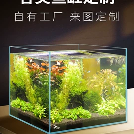 鱼缸;水族箱