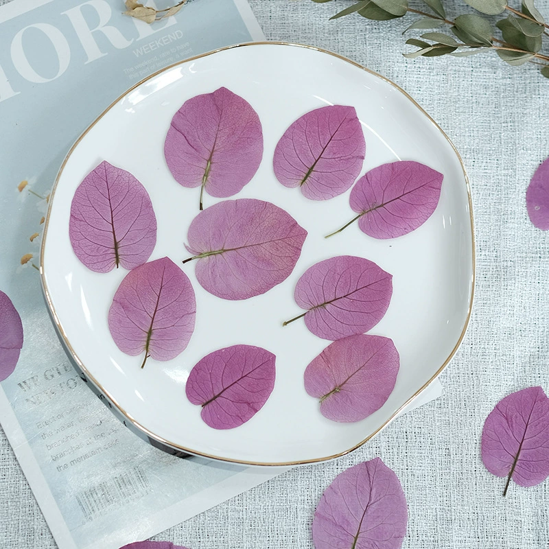 Бугенвиллея с сою сушеные цветы образец растения закладка фоторамка DIY капающая резиновая смола ювелирные изделия ручной работы с тиснением декоративная роспись