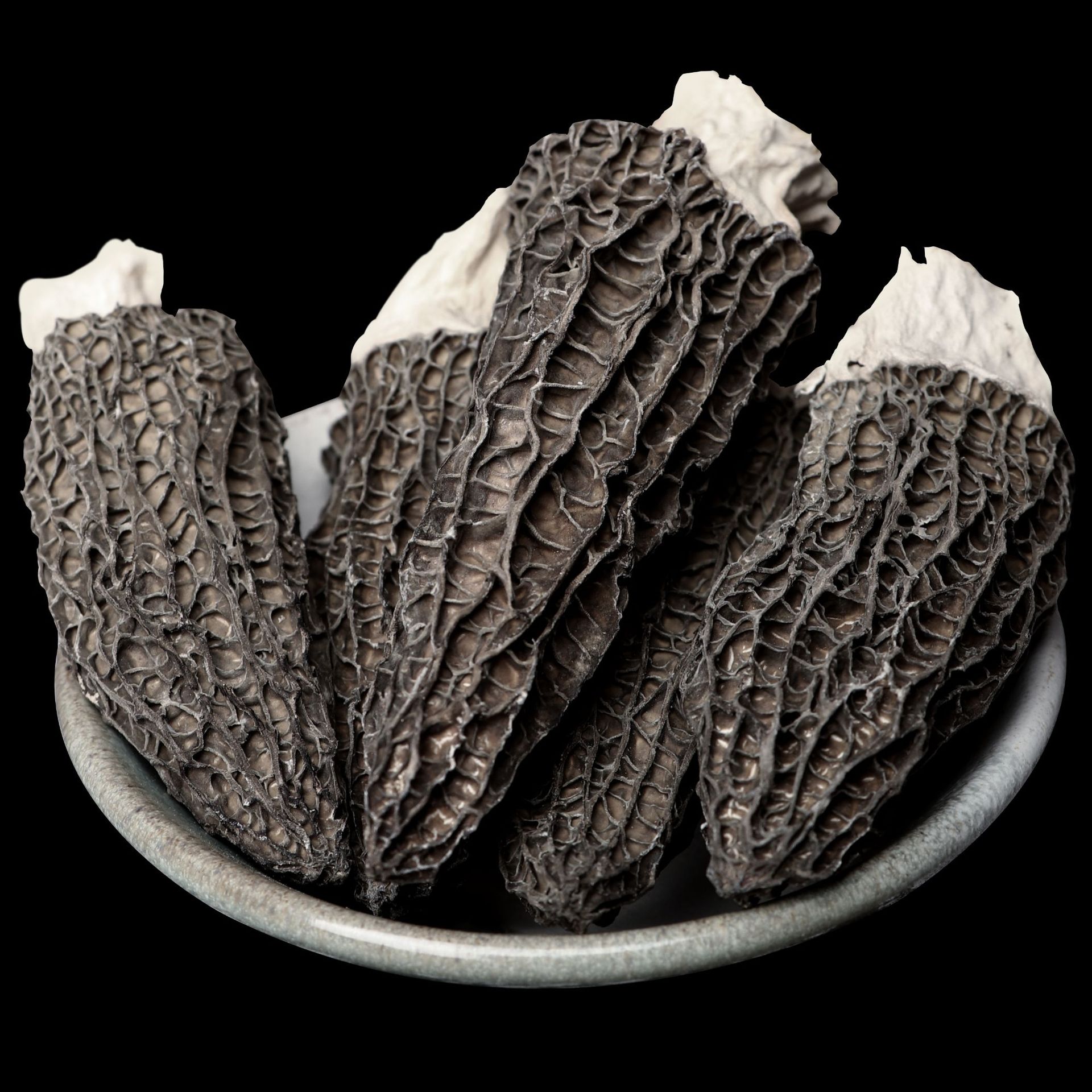 产地直供云南羊肚菌 食用干菌 剪脚羊肚菌干货 批发 渠道代理代发