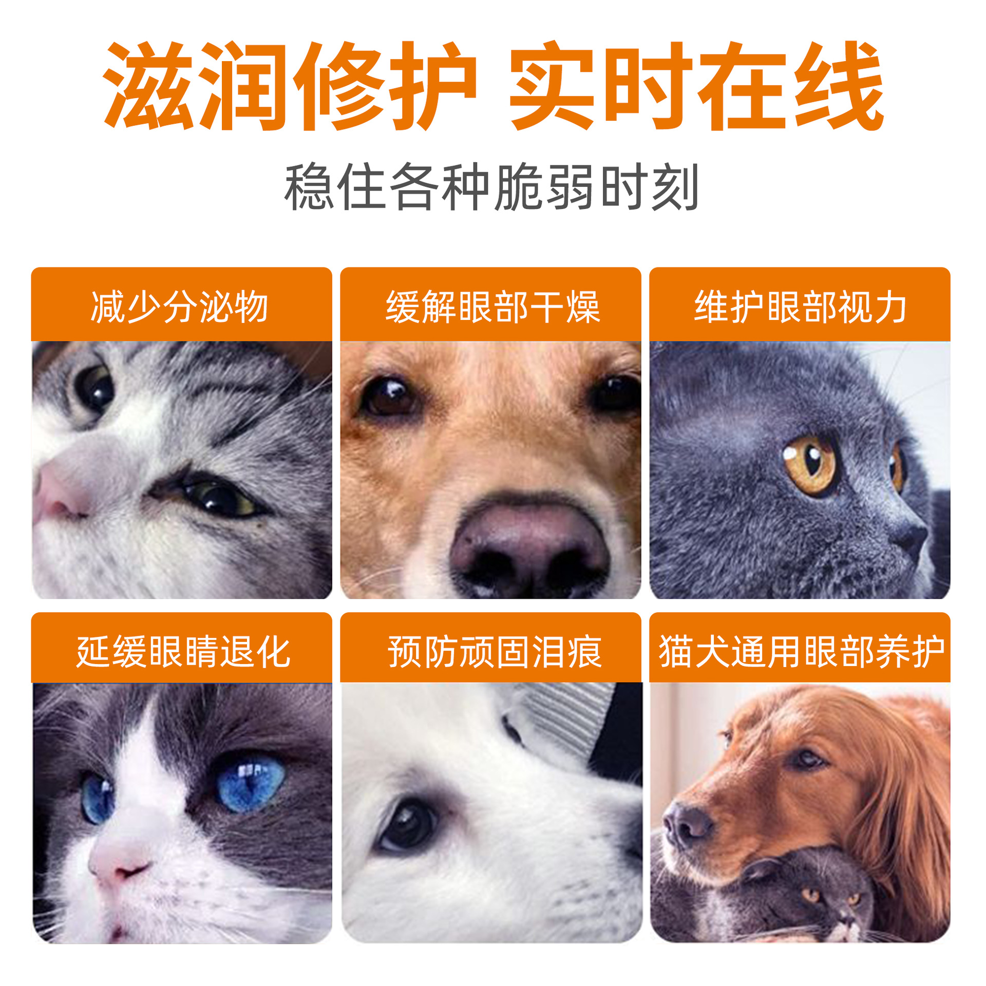 Gotas para los ojos para mascotas Gatos y perros para eliminar las heces de los ojos especial para gatos lavado de ojos golden retriever Teddy Tears Cleaner