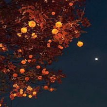 防水柿子灯节日挂树水果氛围装饰led工程灯具氛围灯挂树灯灯笼