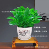 Douban Green Basin Planting Mes. Plant Hydroponic Flower Plant Room Living Room Desktop Green Plant Blue Jade Four Seasons Green Free Shipping