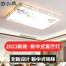 v和新中式吸顶灯长方形客厅灯2024新款国潮风大厅灯具家用卧室灯