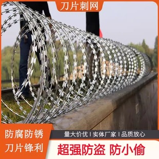 刀片刺绳不锈钢滚笼防锈防护网刺网带刺铁丝刺围墙防爬网防攀爬-阿里巴巴