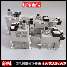 DUNGS��˹ȼ���y�MMBDLE412/415/420 �M��늴��y ȼ���Д��y ����