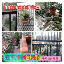 �����ϾW���̨���o�W���÷�؈���W��������̨�ⴰ�W؈����ӾW