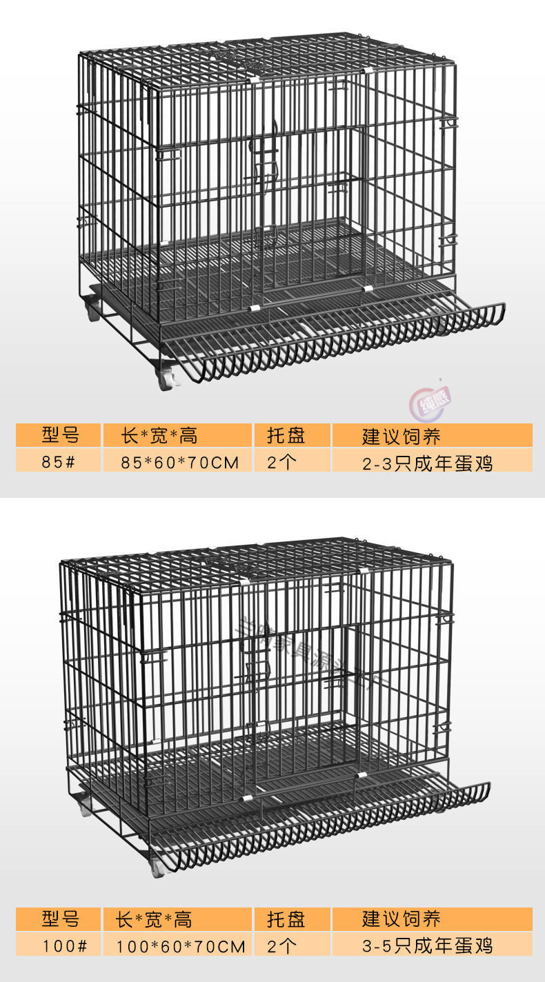 8a9f5a6e-ba4d-4d49-8773-9daf7058e4a6.jpe