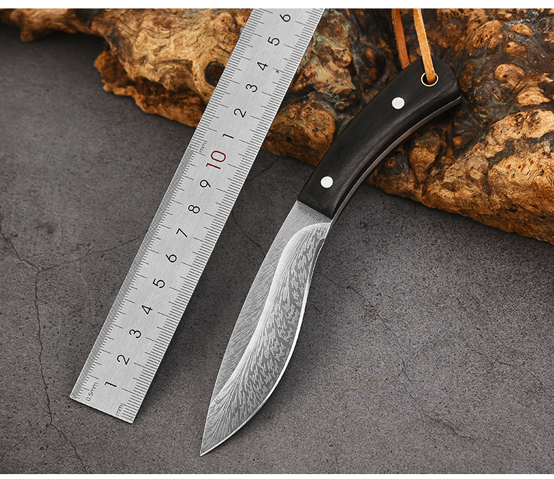 스몰 사이즈 개 다리