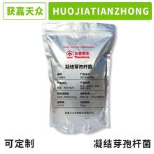 凝结芽孢杆菌 原粉可调配菌粉含量 单菌种 益生菌源头厂家