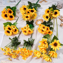 ���տ�����ٻ�С��̫ꖻ�������@�L�zӰ�Ҿ��bѻ�����Ʒ���l