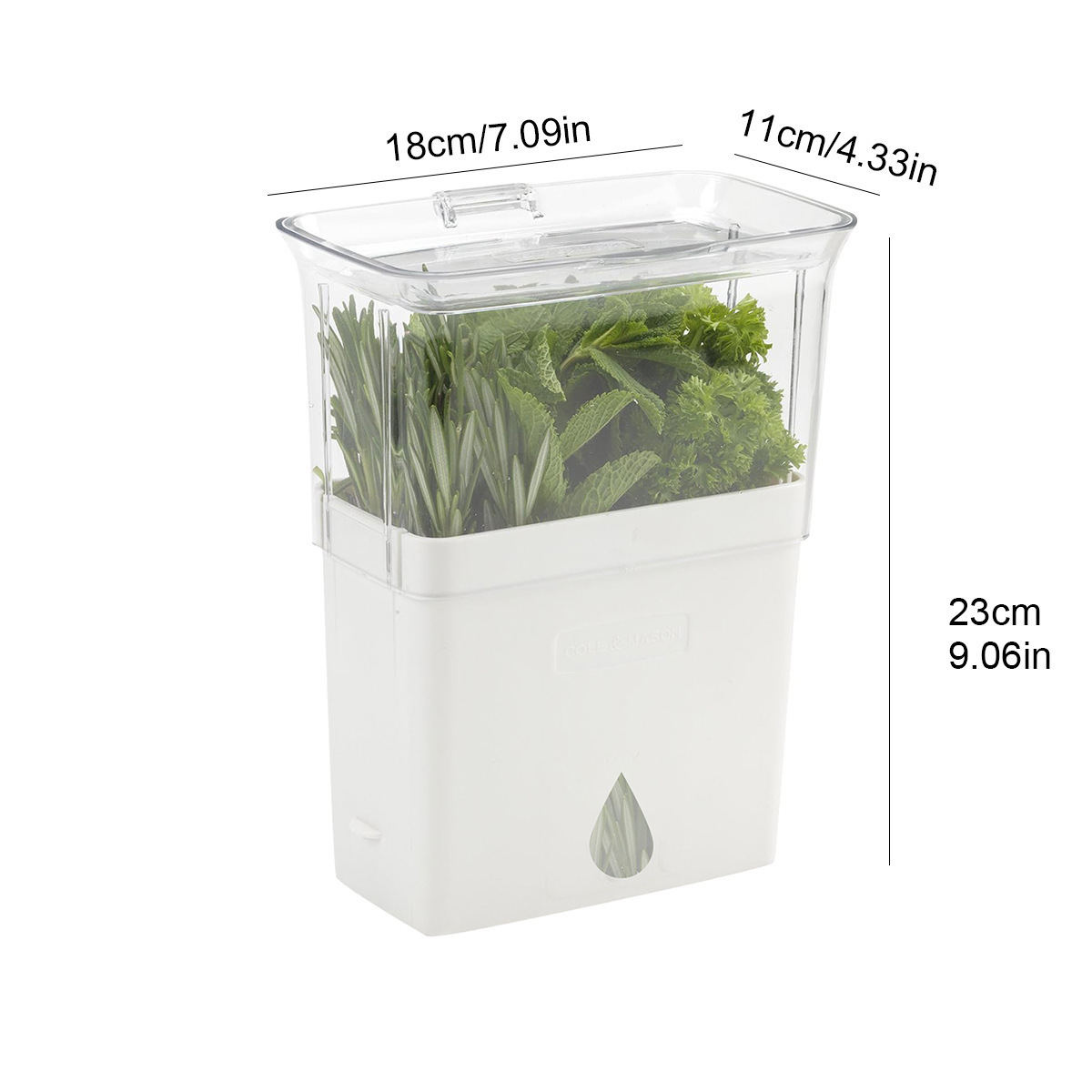 Caja de preservación de vegetales de vainilla transfronteriza anti-compresión preservación creativa cilantro preservación de tazas fabricantes al por mayor hechos en casa