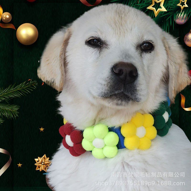 Productos para mascotas Shiba Corgi arco iris collar de flores para gatos perros collar de pelo ajustable caricatura para perros pequeños