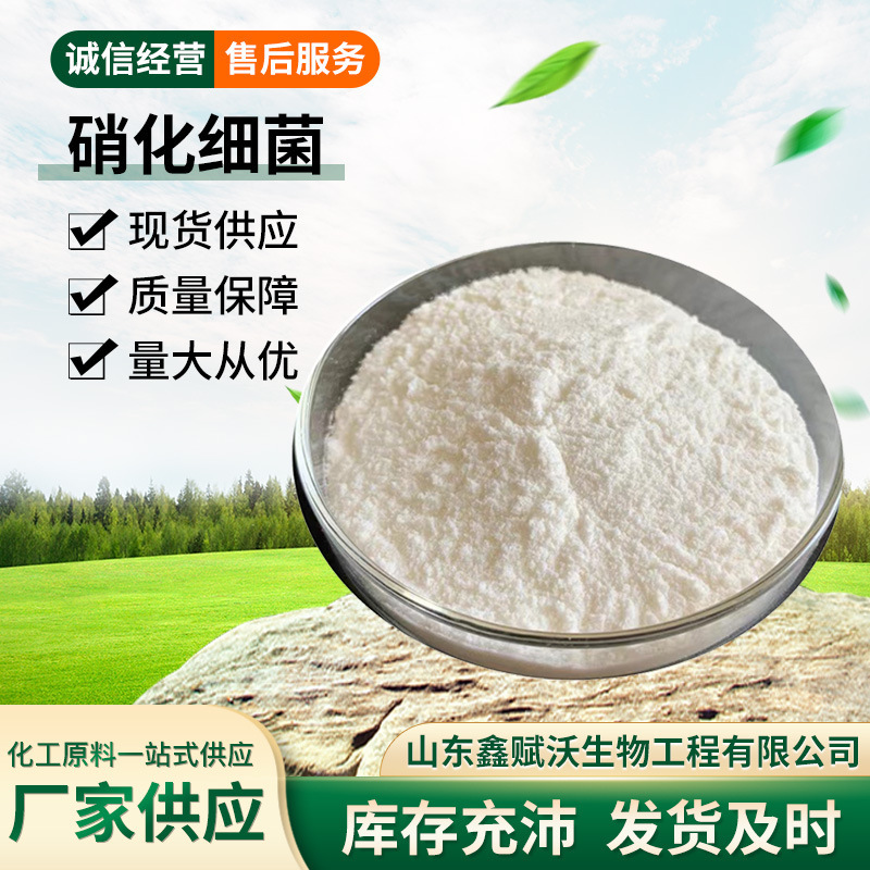 硝化細菌好気性菌が亜硝酸塩アンモニア窒素cod浄水汚水処理水産養殖硝化細菌|undefined