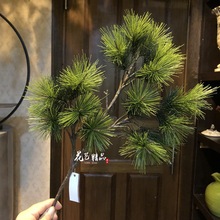 �����ɘ�֦ ���� ��ȼ��֦ ���ͼ٘� ܛ�b���s�r�� �ٻ�����