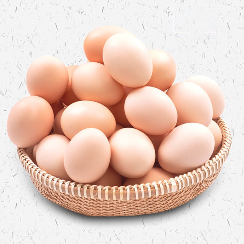 ɽ��ũ��ɢ���������񼦵�Ӫ�����������ݼ�����������ȱ�����