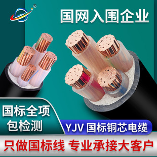 �ӱ���|�z�b���|���������ľ�3+1о1.5-300ƽ��ZC-YJV22늾���|