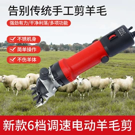 电剪刀;电动工具配件;宠物电推剪