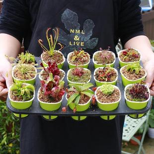 �Ժðl؛ʳ�x�ݲ�ω�ݲ�ʳ�˻��i�\�����ԾGֲ��