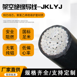 Դ�^���S JKLYJ 10KV  1&times;70 �Xо�͉��^����|�����ؾ�