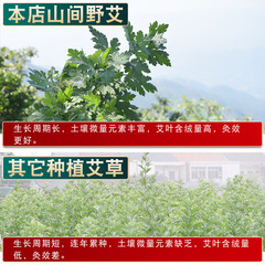 Aromatherapy moxa sticks, five-year-old moxa sticks, moxa sticks, mugwort sticks, summer indoor moxa section aromatherapy stalls, exhibition natural moxibustion