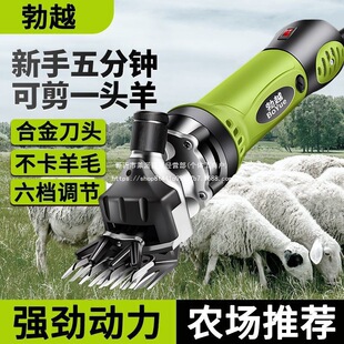 ��Խ��ë��������늄Ӽ�ë�C���ü������������ë���ʼ���ë��