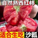 山东生吃西红柿新鲜沙瓤大番茄自然熟地头现摘水果粉柿子整箱包邮