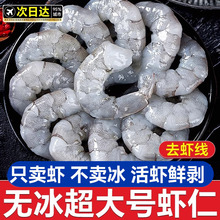 大虾仁鲜冻无冰青虾仁新鲜即食低脂去虾线鲜活冷冻速冻虾商用
