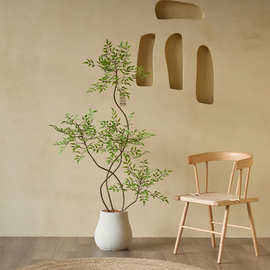 仿真南天竹绿植假树造景观家居客厅商场店铺橱窗酒店餐厅装饰摆件