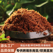 ���羳������ŷ��������Ҭש��ͨ����Ӫ������Ҭש������ֲר����